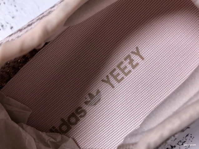 Boost FV5666 Reflective 350 Synth V2 Adidas Yeezy 1025